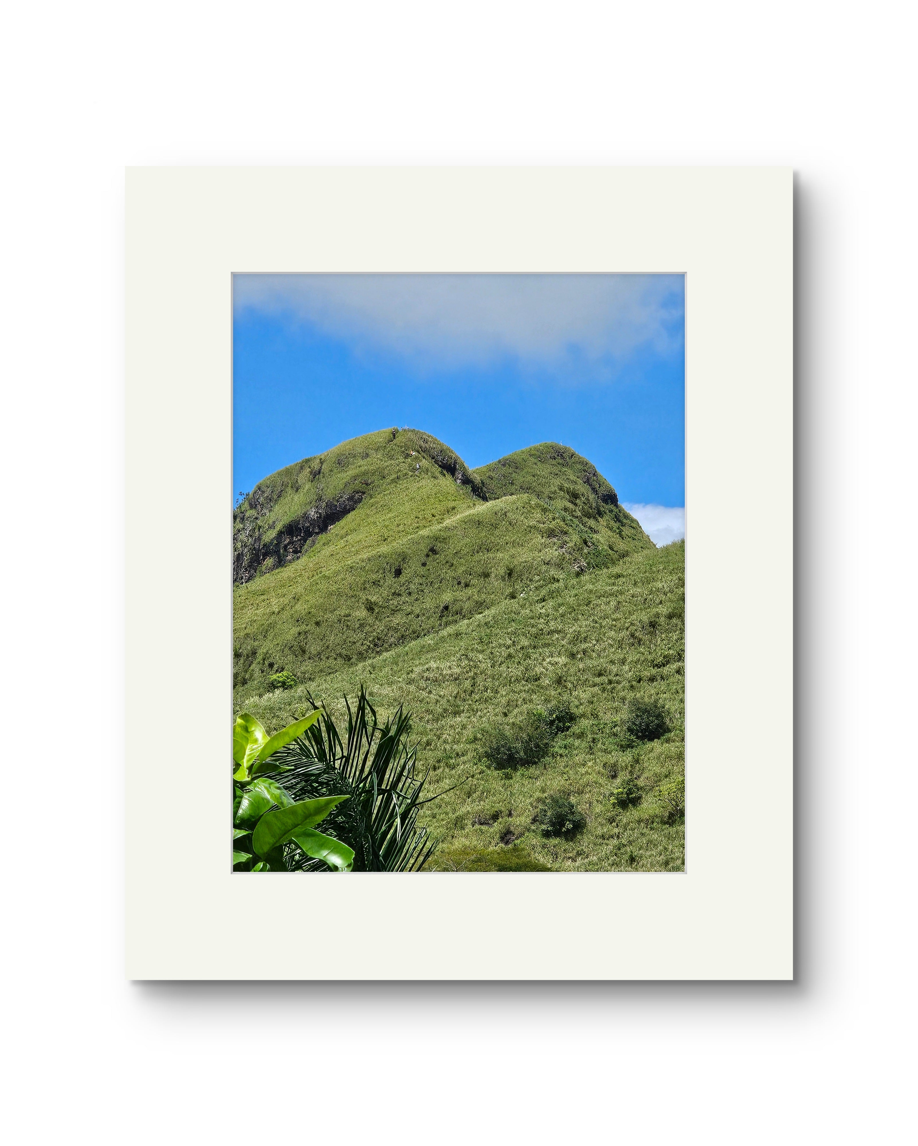 Cerro Mime